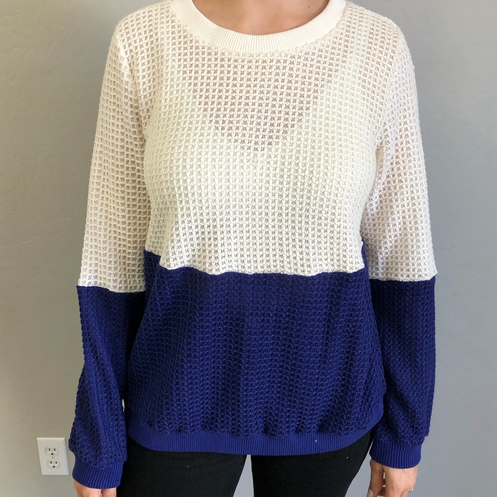 Sugarlips Cobalt Blue Knit Sweater